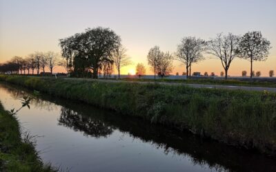 natuurlijk onderhoud noordwal