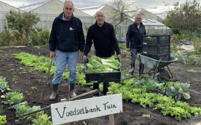 Voedselbanktuin enorm succes