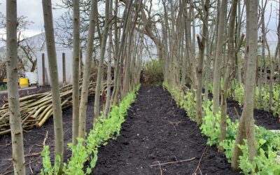 Tuintips april op een rijtje